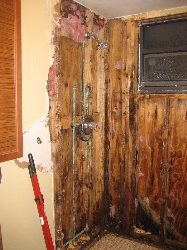 Picture 012